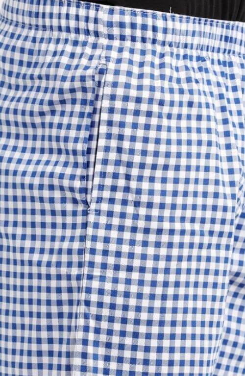 The Blue Gingham Checked Boxer