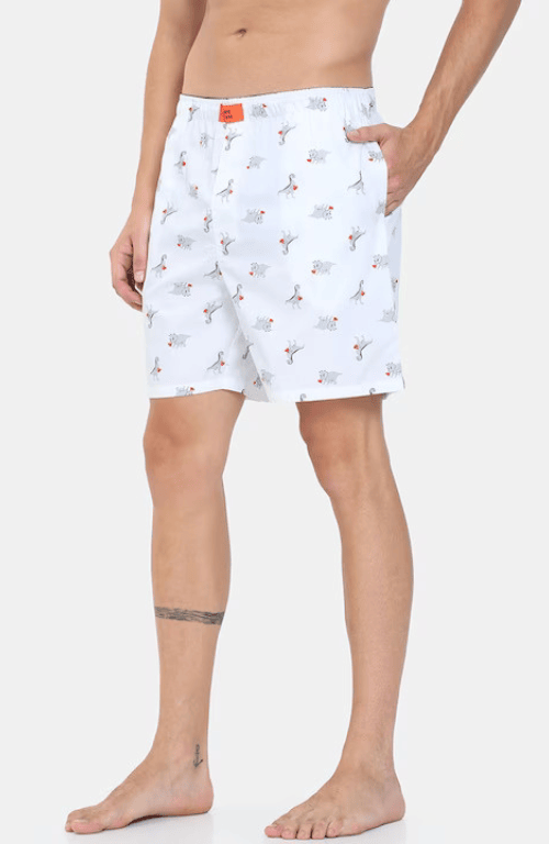 The Dinosaur Printed Boxer