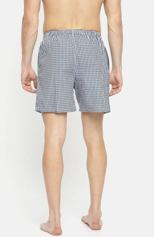 The Great Gingham Checkered Boxer