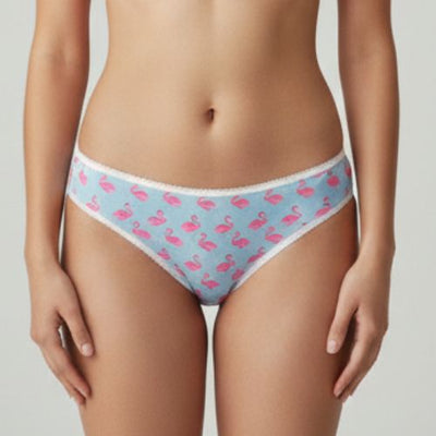 The Flamingo Grace - Women's Bikini