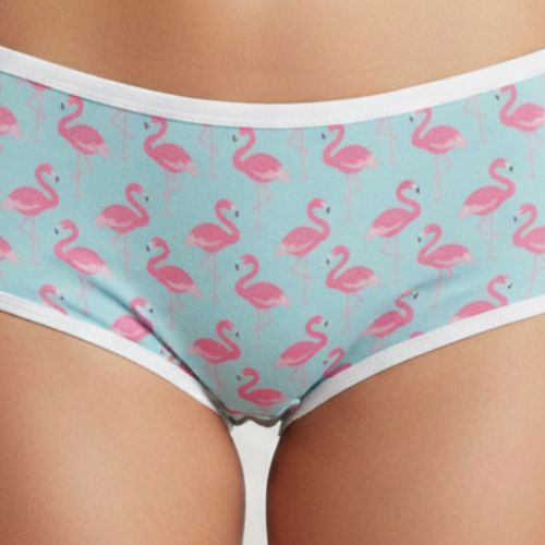 The Flamingo Grace - Women's Hipster