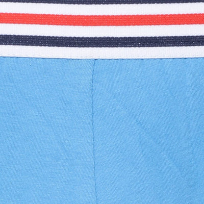 The Lt Blue Elastic American Stripes