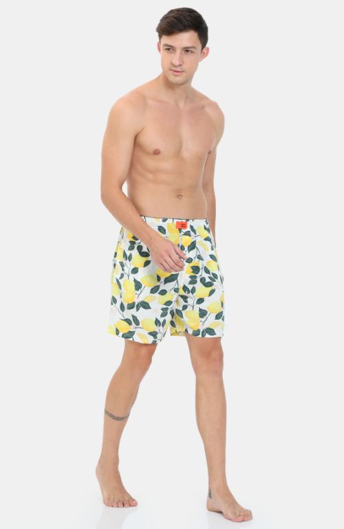 The World Of Botanical Boxer