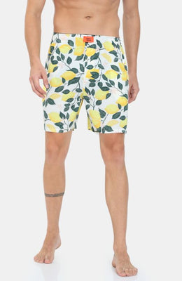 The World Of Botanical Boxer