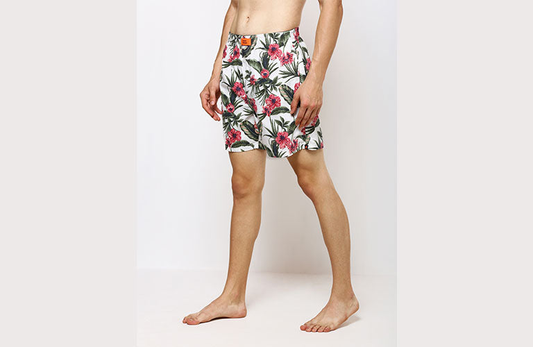 The Hibiscus Valley Boxer