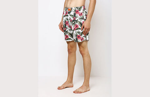 The Hibiscus Valley Boxer
