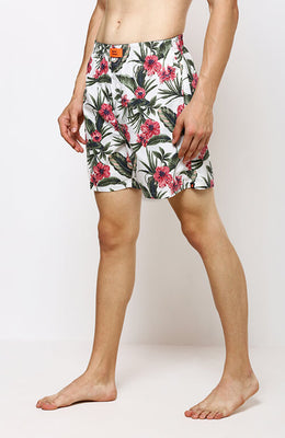 The Hibiscus Valley Boxer