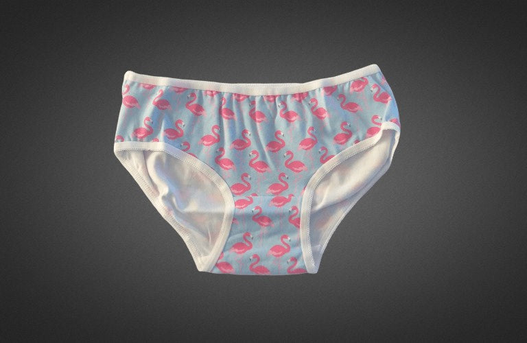 The Flamingo Rush - Women's Hipster