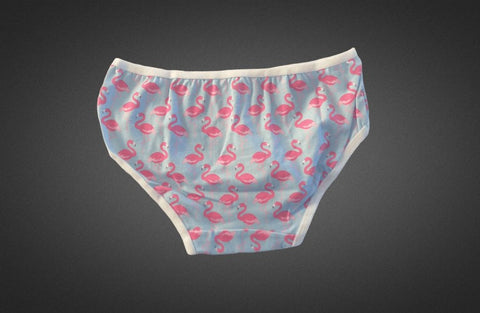 The Flamingo Rush - Women's Hipster